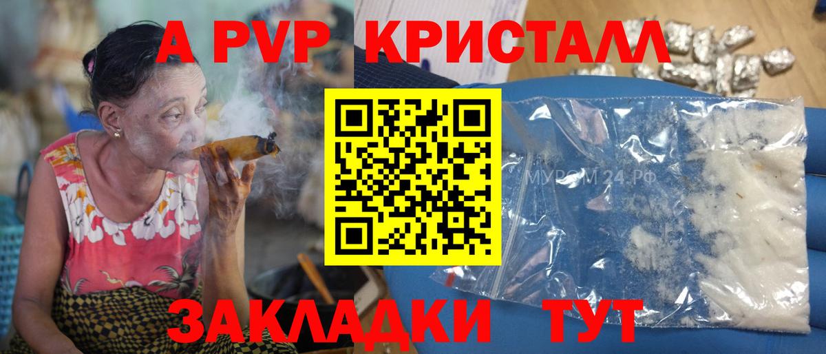 Alfa_PVP СК Тверь