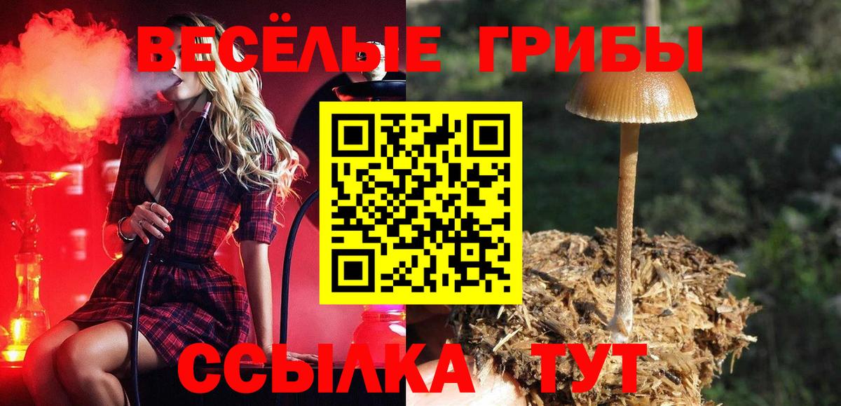 Галлюциногенные грибы ЛСД  Вход с VPN  Тверь  купить  сайты  Галлюциногенные грибы прущие грибы 